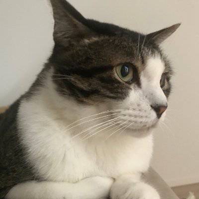 シータ